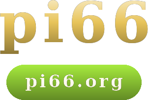 pi66 logo
